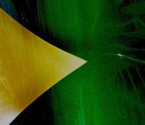 Dom Pedro II. Neg. von Braum. Clément & Cia. Paris. Therese Prinzessin von Bayern. Meine Reise in den brasilianischen Tropen. Berlin 1897